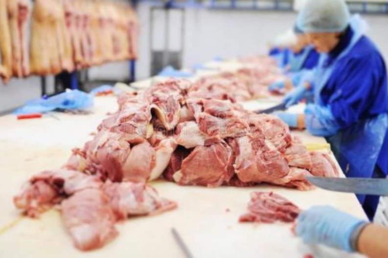 禽肉加工企業如何通過營銷策劃將產品推向市場