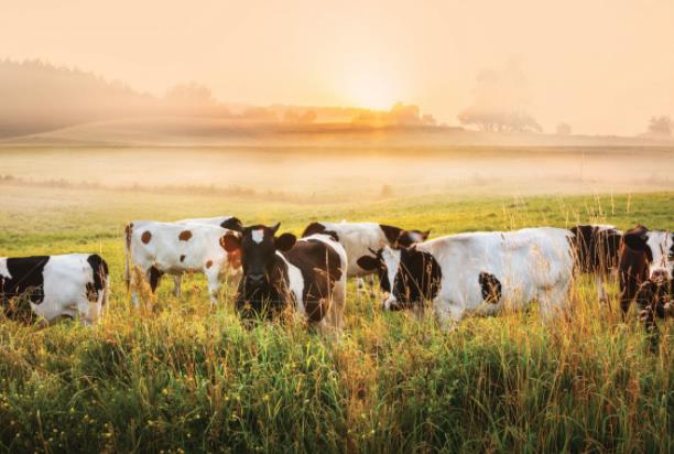 營(yíng)銷策略包括哪些方面 營(yíng)銷策略包括哪些方面