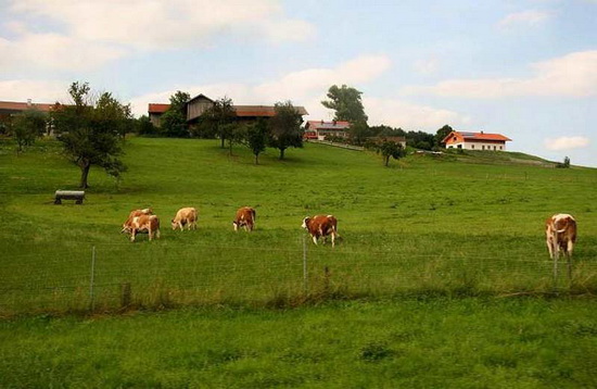 要想做好農業品牌定位：這三大要素不能缺少！