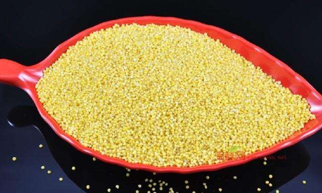 品牌定位,農業品牌定位,小米品牌定位 品牌定位,農業品牌定位,小米品牌定位