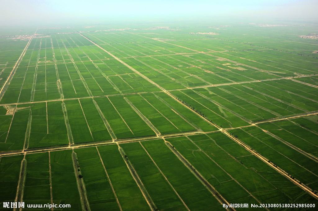 農業品牌策劃 農業品牌策劃