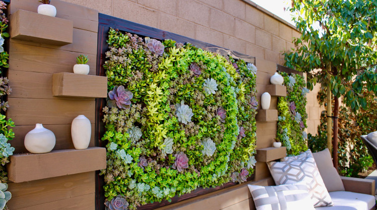 上海綠植租賃辦公室盆栽租賃技巧 上海綠植租賃辦公室盆栽租賃技巧