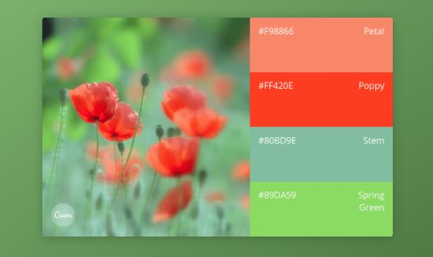 品牌全案設(shè)計(jì)師如何找到完美的色彩組合 品牌全案設(shè)計(jì)師如何找到完美的色彩組合