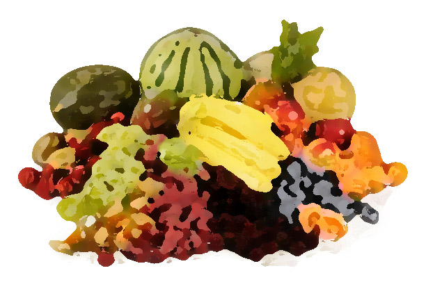 精品水果品牌設計 ，精品水果的王牌設計