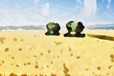 農業公司品牌形象提升，實現農業增效、農民增收