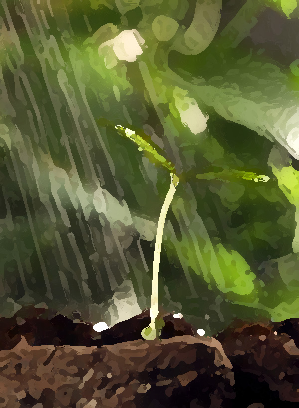 農業公司品牌提升策劃，實現農業垂直一體化