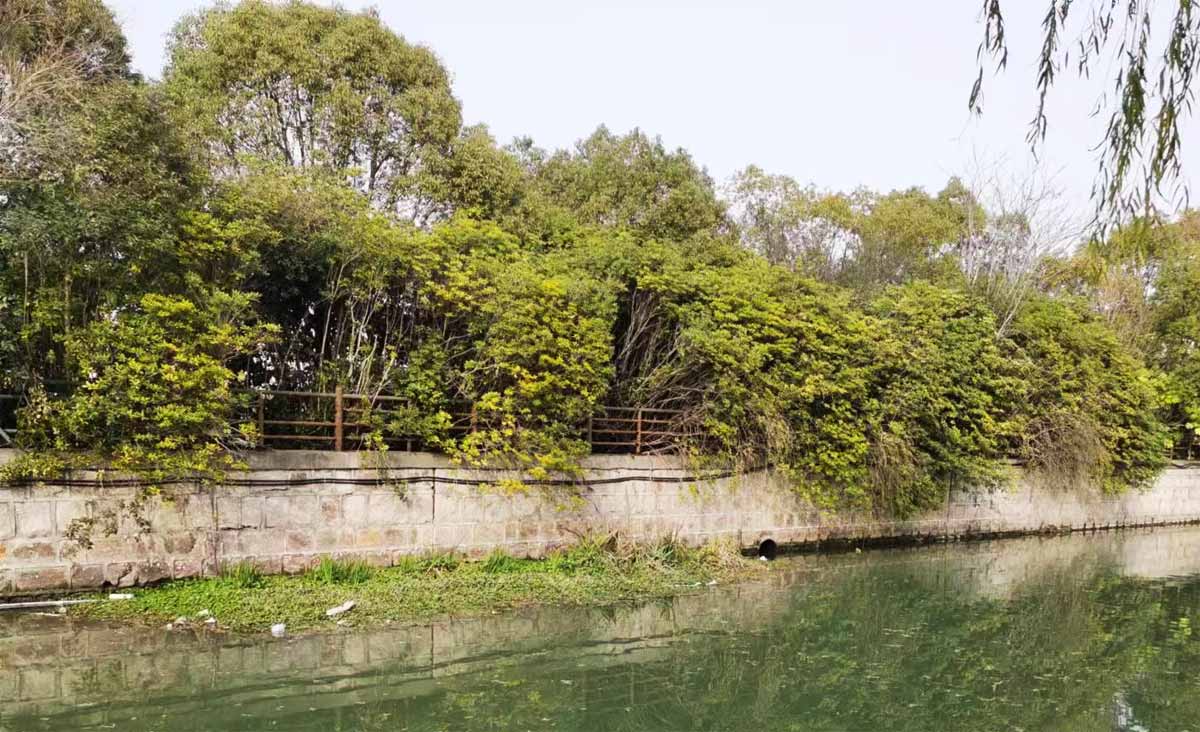 首屆陜西省農(nóng)業(yè)品牌設計大賽正式啟動