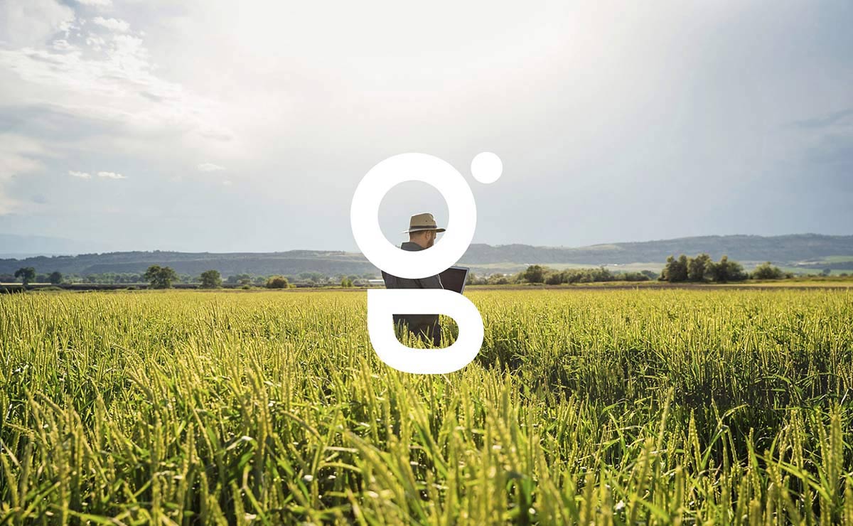 農(nóng)業(yè)品牌VI設計 農(nóng)業(yè)品牌VI設計