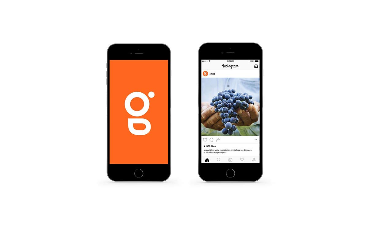 農(nóng)業(yè)品牌VI設計 農(nóng)業(yè)品牌VI設計