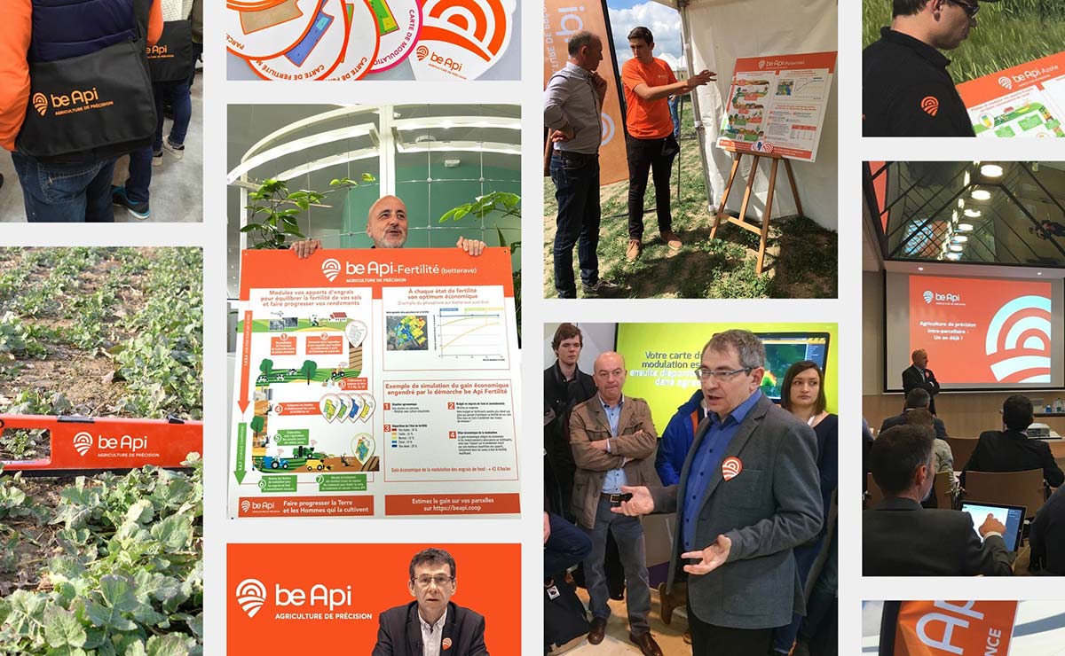 農業品牌VI設計 農業品牌VI設計