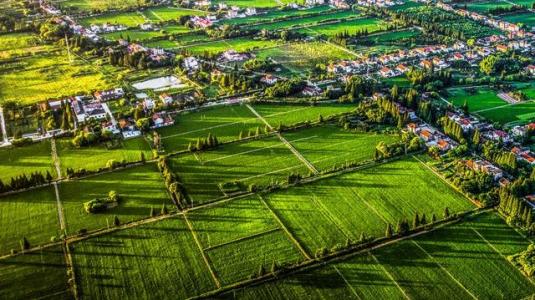 如何做好農業形象升級？