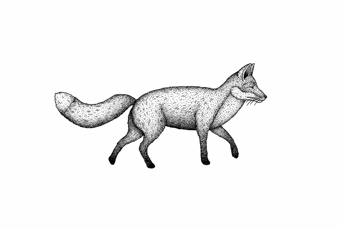 02 (36).jpg 02 (36).jpg