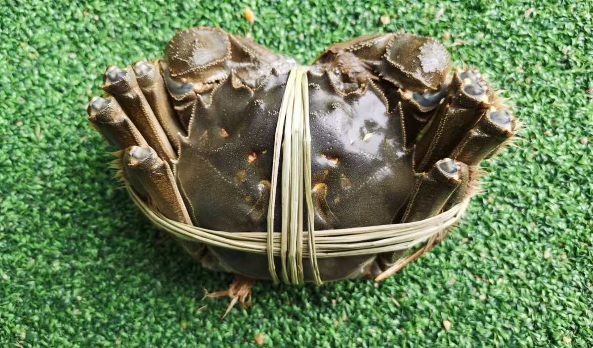 中秋節(jié)前的大閘蟹品牌營(yíng)銷(xiāo)策劃方案 中秋節(jié)前的大閘蟹品牌營(yíng)銷(xiāo)策劃方案