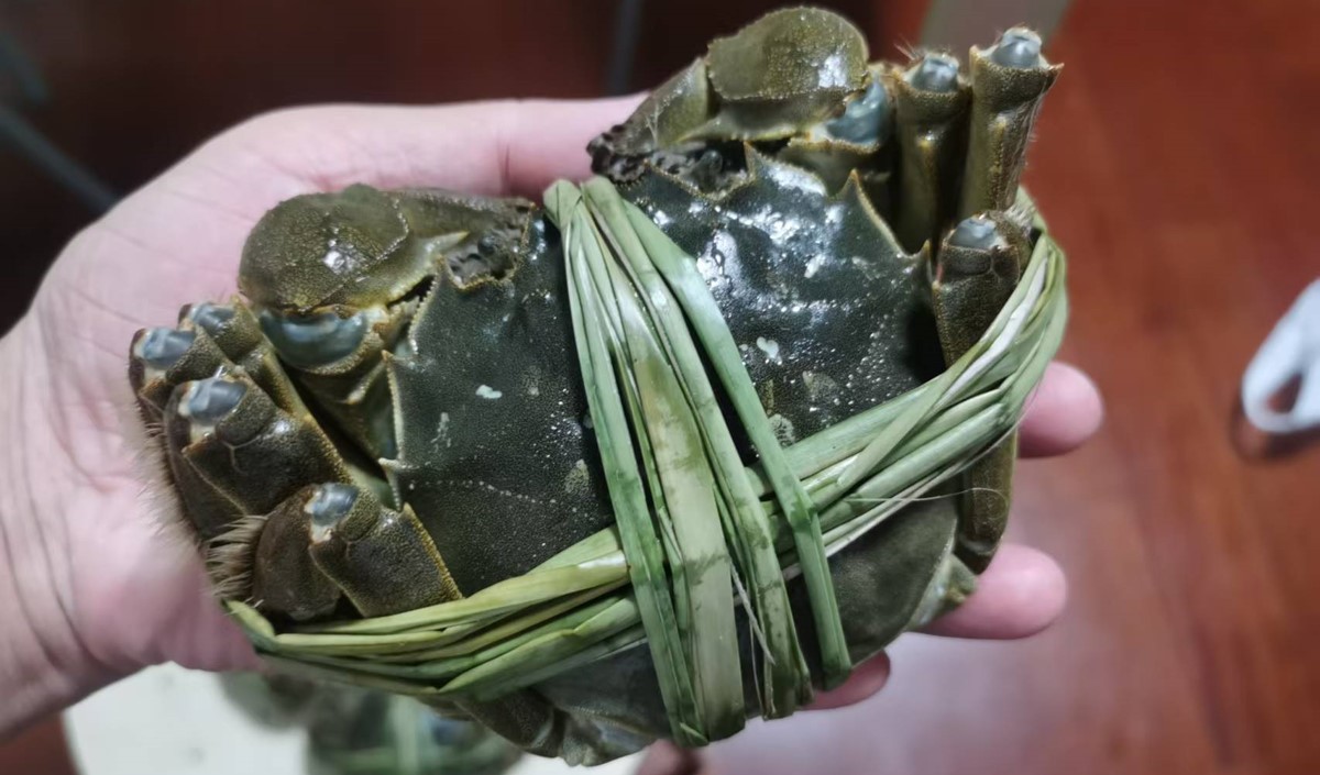 中秋節(jié)前的大閘蟹品牌營(yíng)銷(xiāo)策劃方案 中秋節(jié)前的大閘蟹品牌營(yíng)銷(xiāo)策劃方案